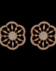 Shiny Diamond Earrings