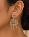 2-in-1 Diamond Earrings With Natural Rubies And Tourmaline